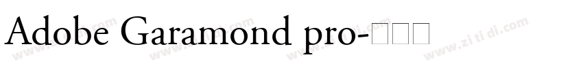 Adobe Garamond pro字体转换